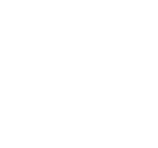 事業内容 / Business content