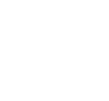 新着情報 / What's New